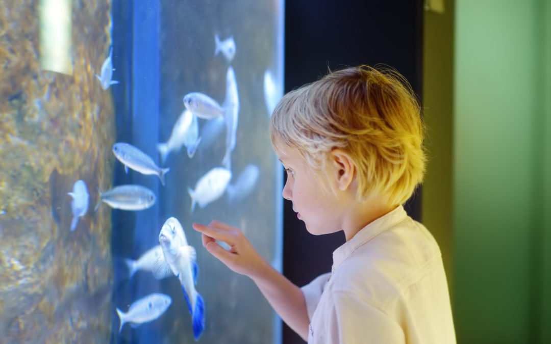 Why You Should Encourage Your Kids to Pursue Their Passions