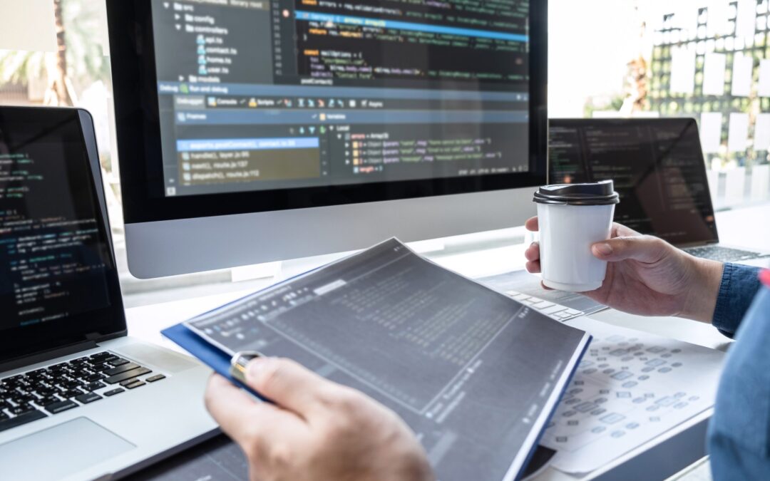 Understanding the Impact of Software Development Offshoring in the Business World